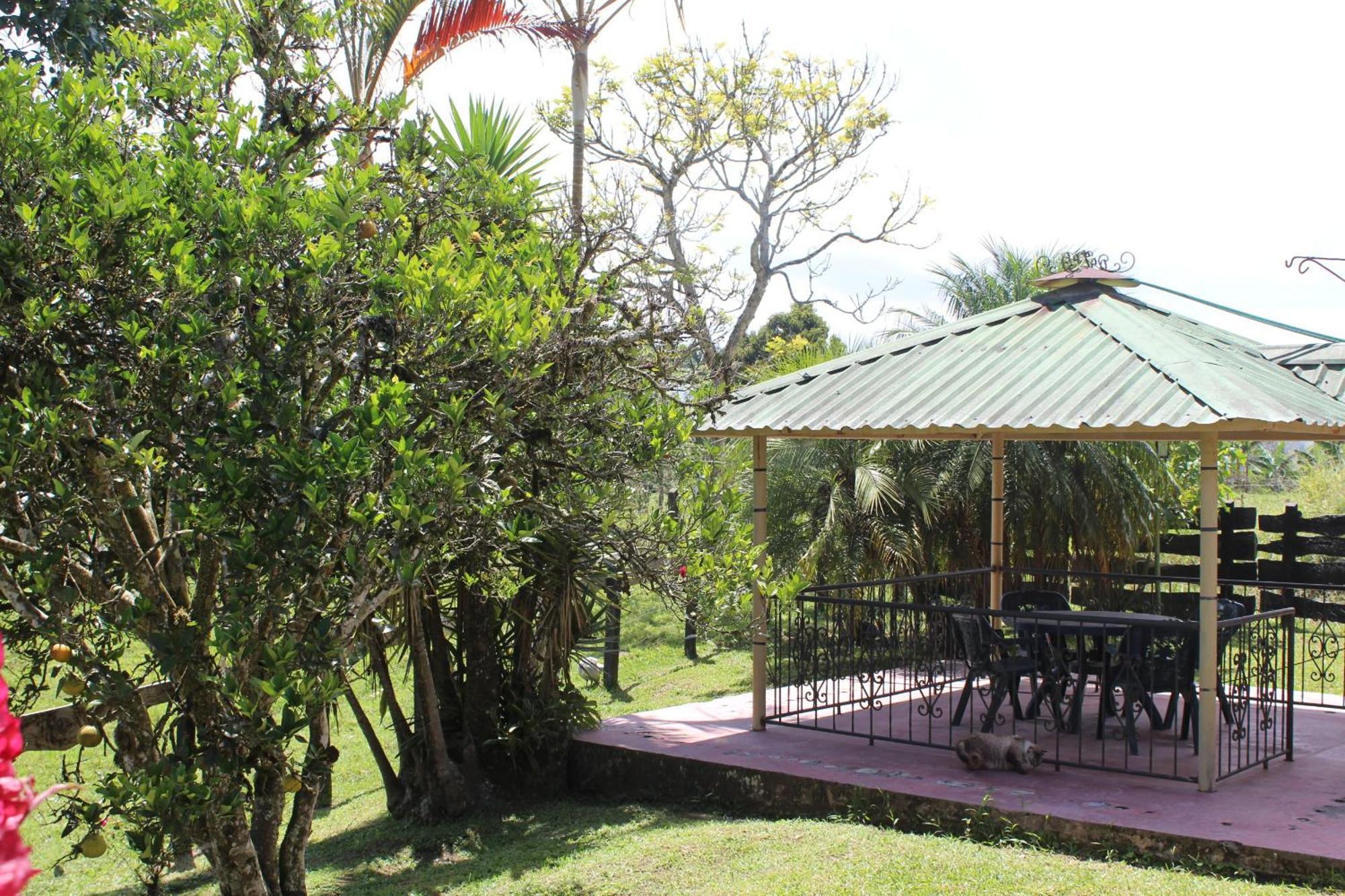 Rancho Ventura Villa Filandia Exterior photo